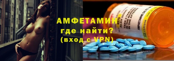 прущие грибы Анжеро-Судженск