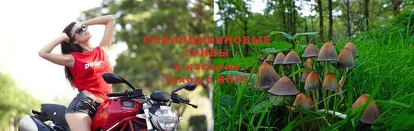 каннабис Нефтекумск
