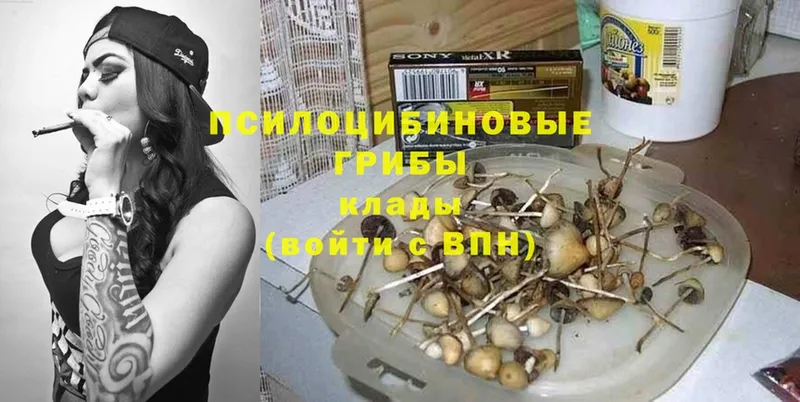 Галлюциногенные грибы Psilocybe  Нариманов 